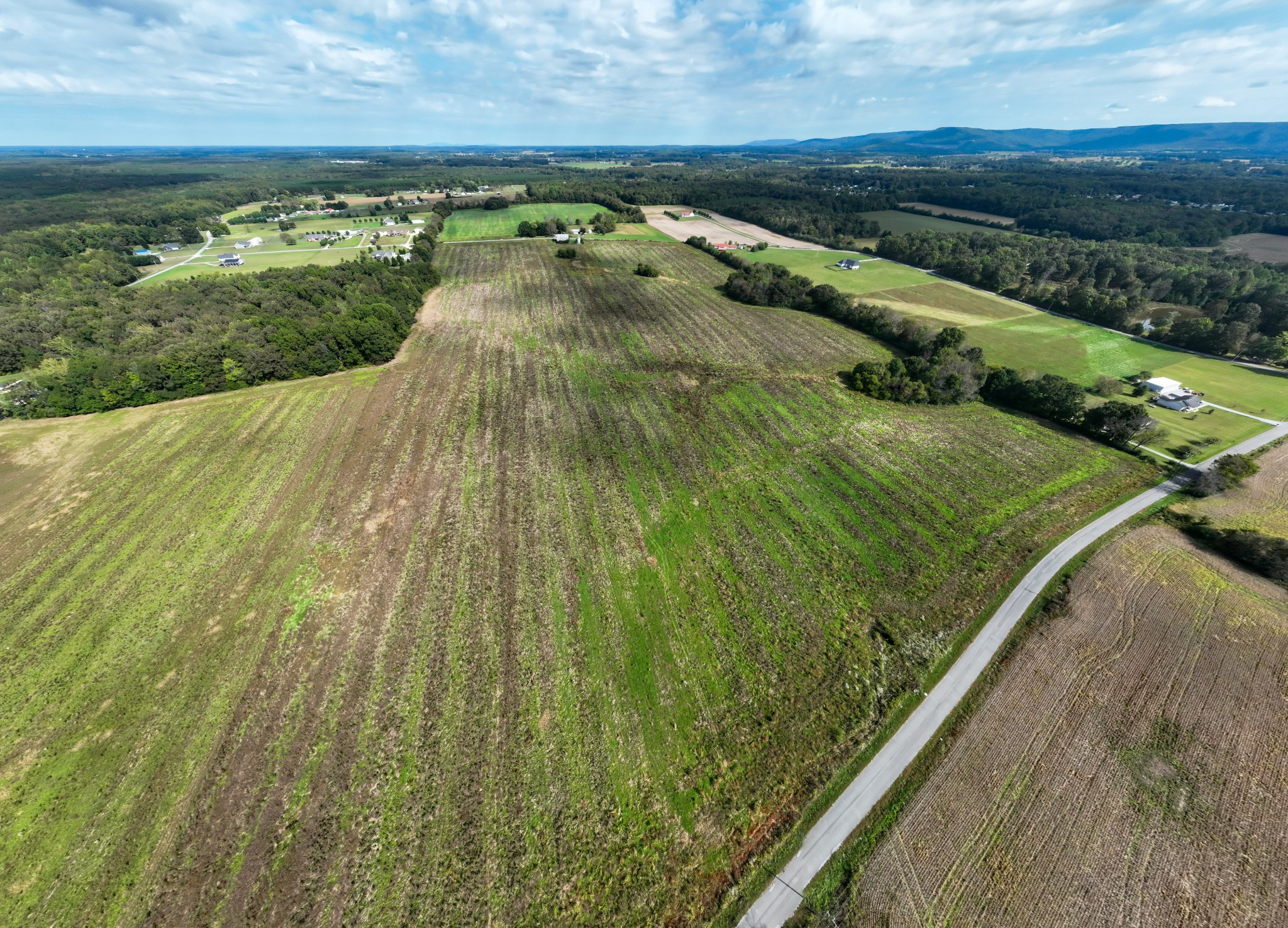 1 Newt Vanattia Rd Property Photo 24