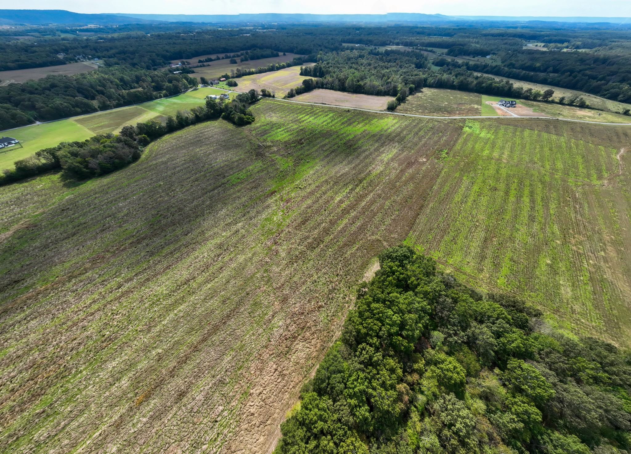 1 Clarence Finney Rd Property Photo 7