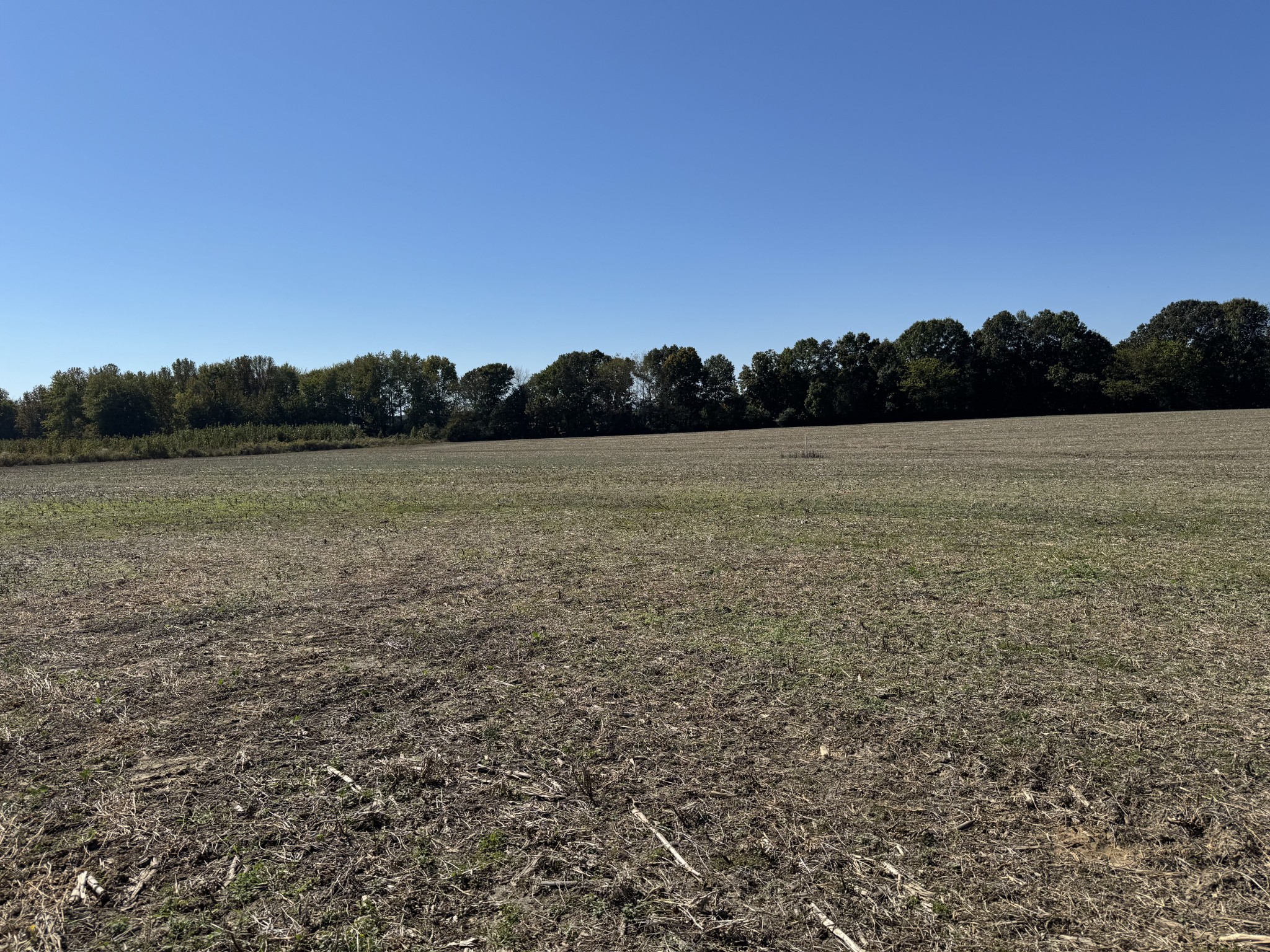 0 Lauren Ln Property Photo 3