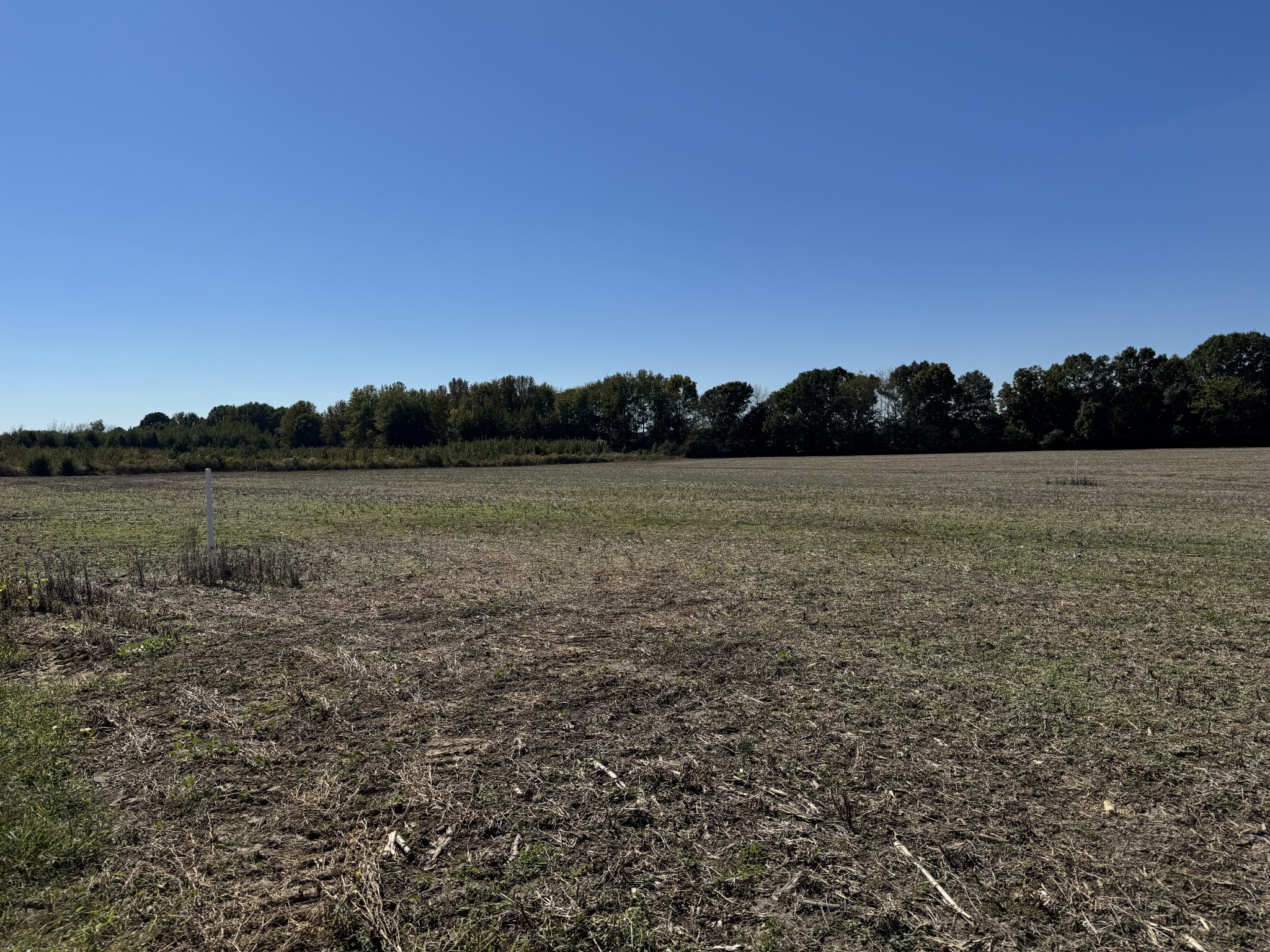 0 Lauren Ln Property Photo 4