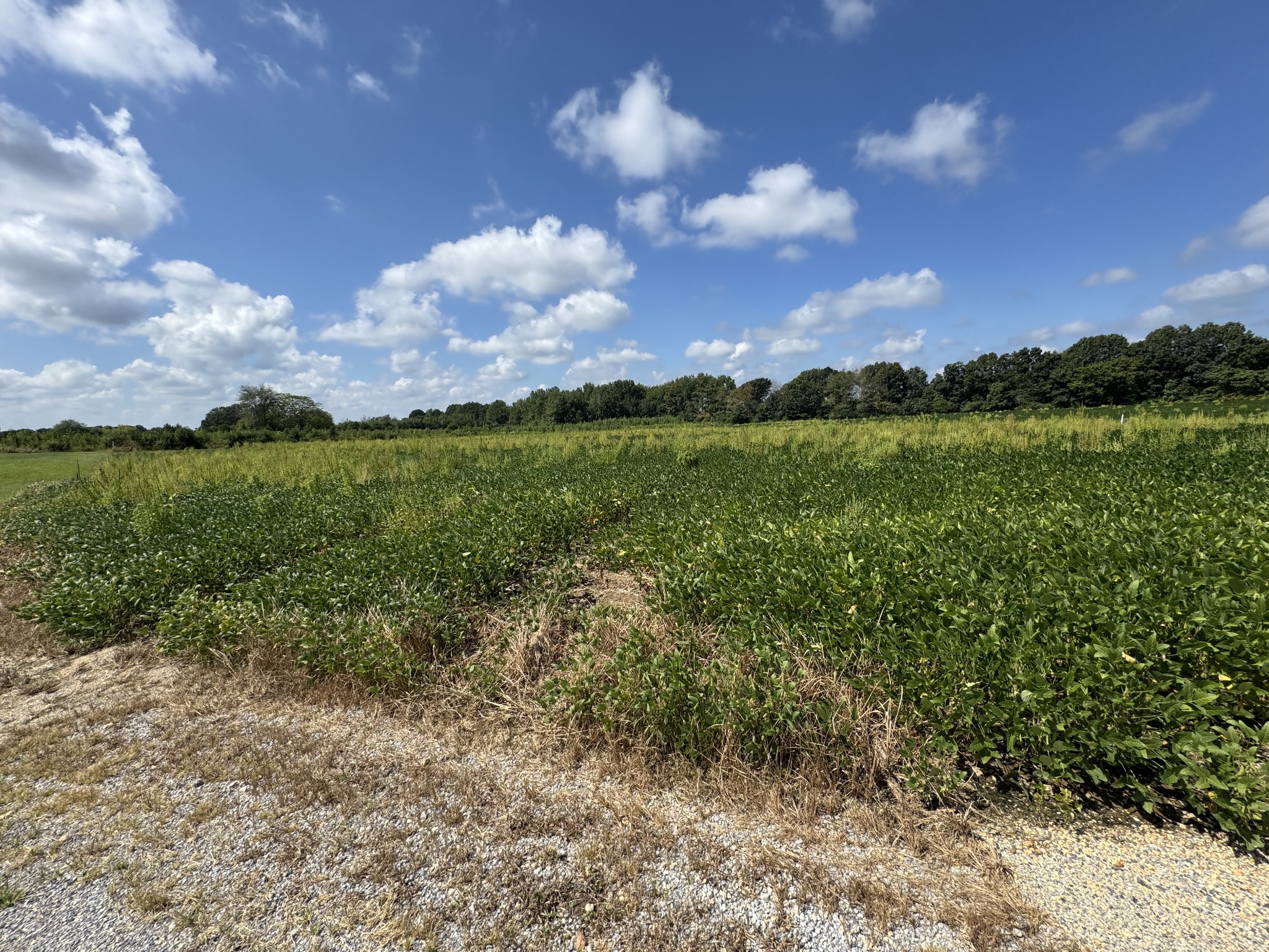 0 Lauren Ln Property Photo 8