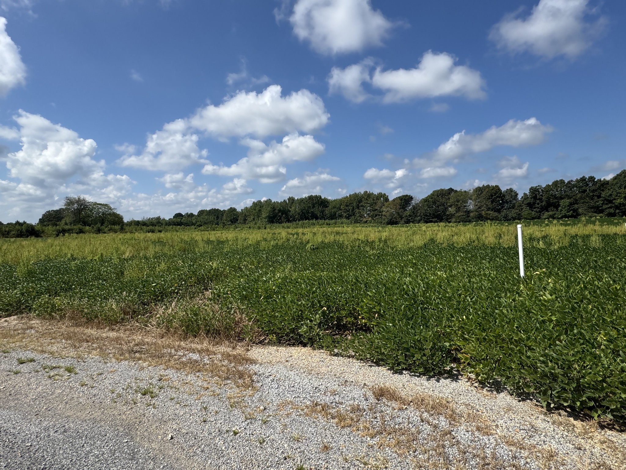 0 Lauren Ln Property Photo 9