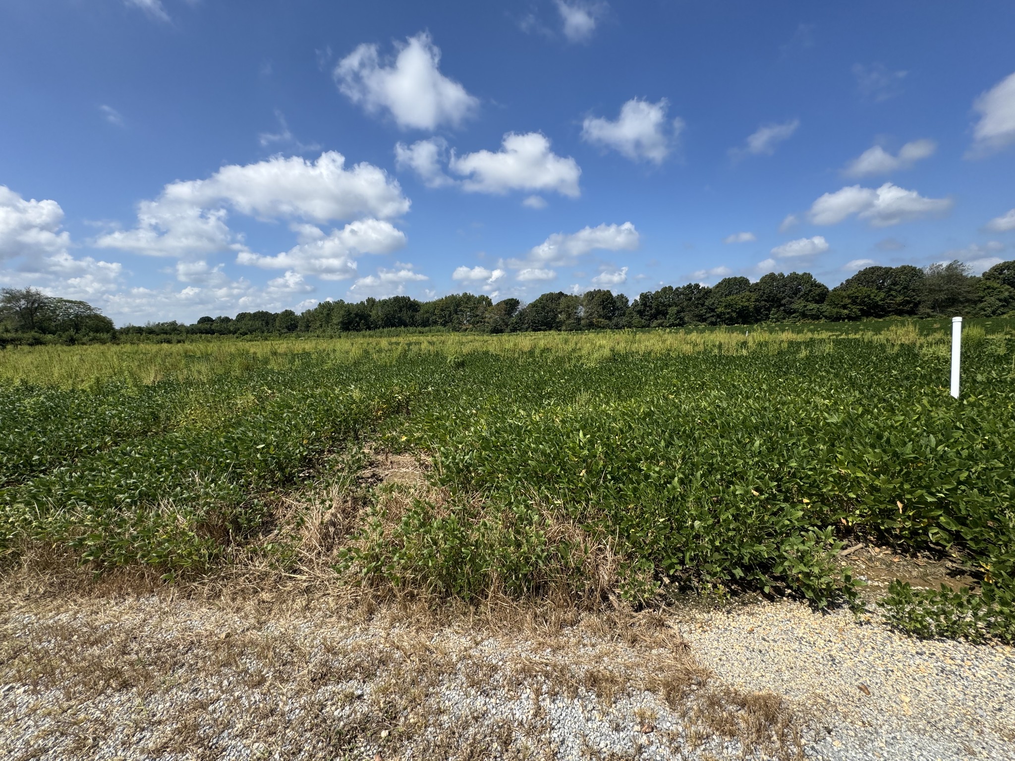 0 Lauren Ln Property Photo 10