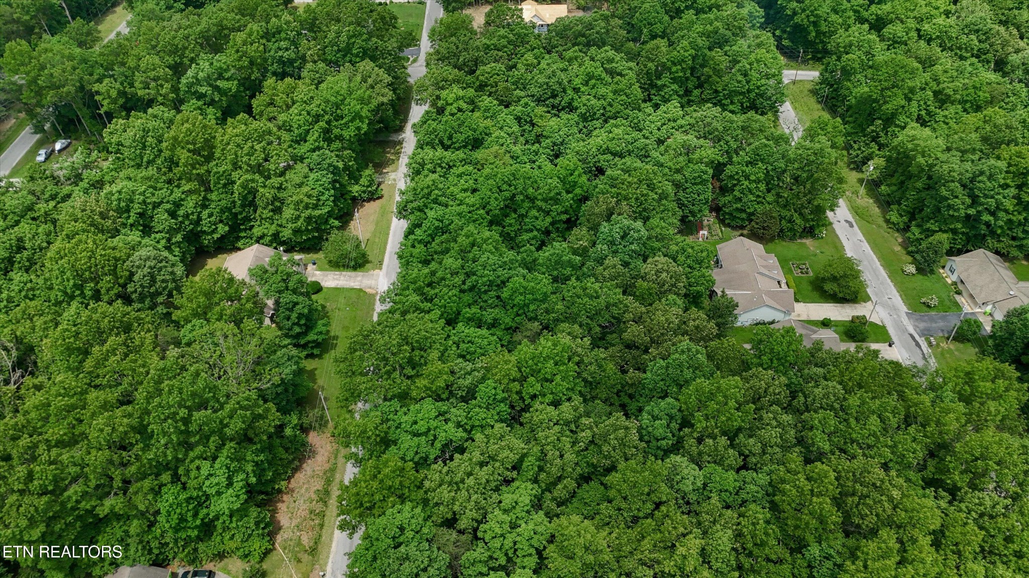 2109 Black Wolf Drive Property Photo 2