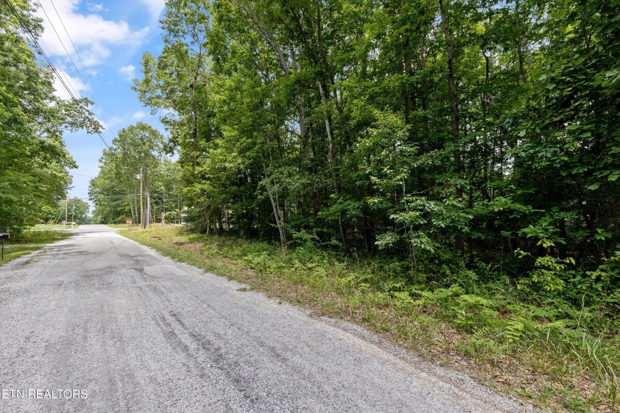 2109 Black Wolf Drive Property Photo 11