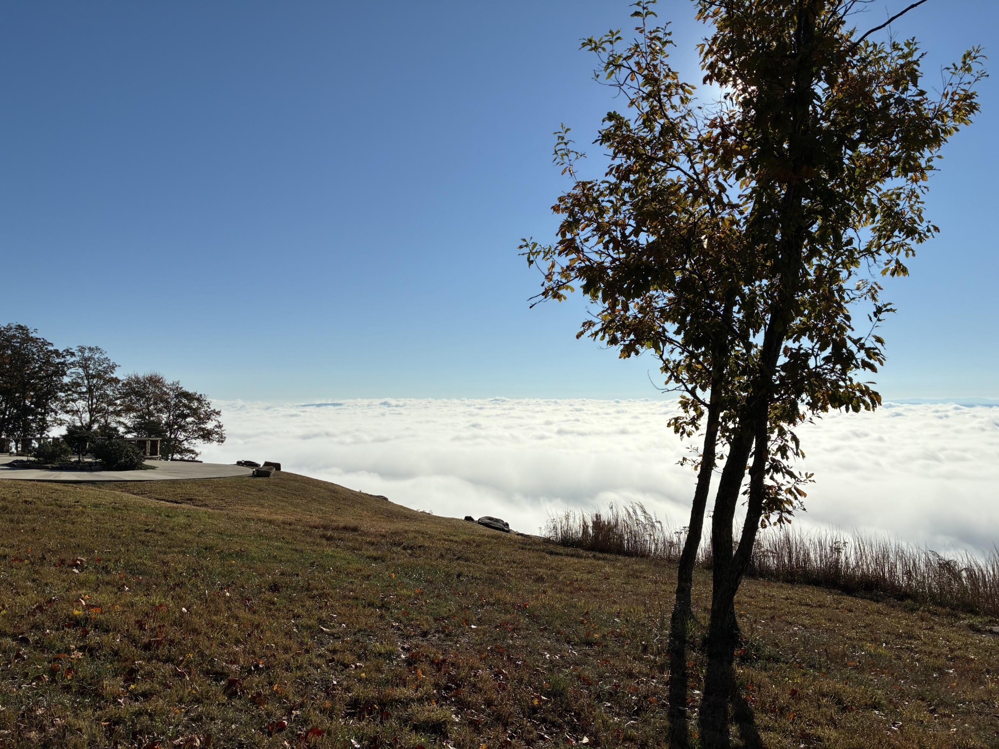 150 Eagle Eye Drive Property Photo 1