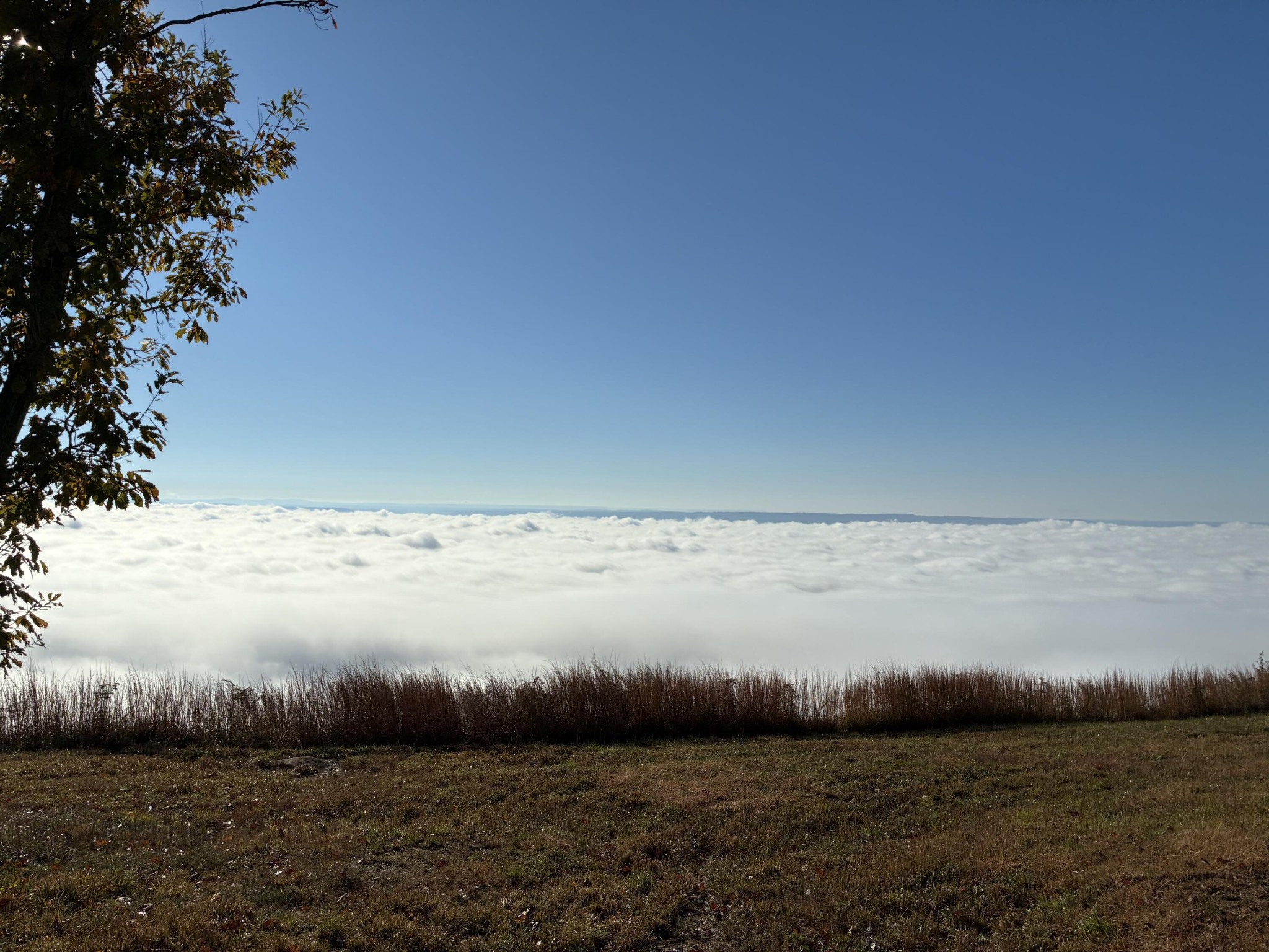 150 Eagle Eye Drive Property Photo 2