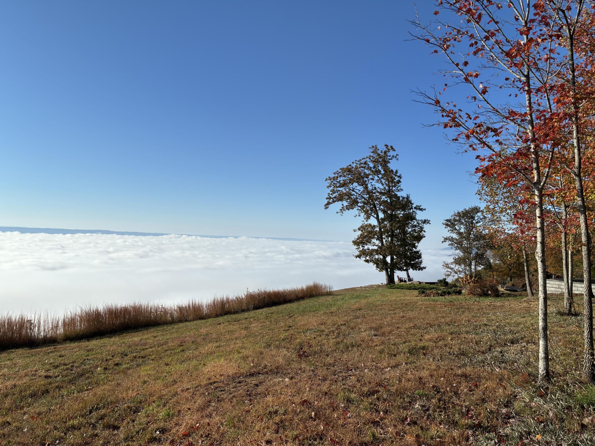 150 Eagle Eye Drive Property Photo 3