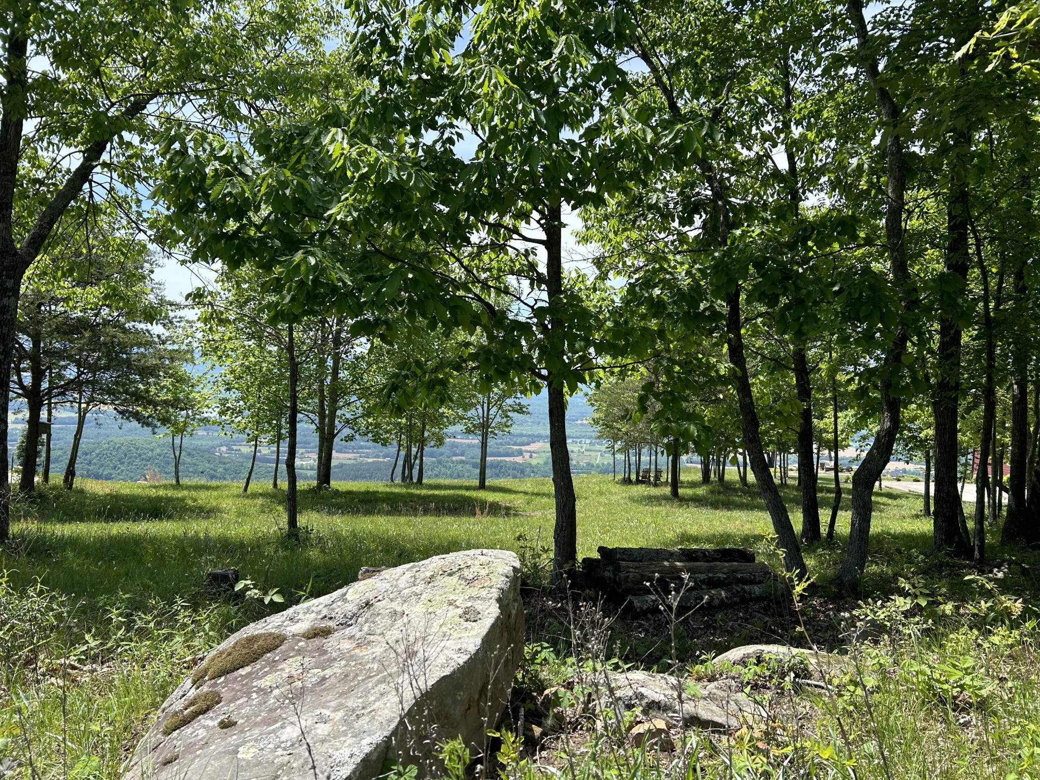 150 Eagle Eye Drive Property Photo 6