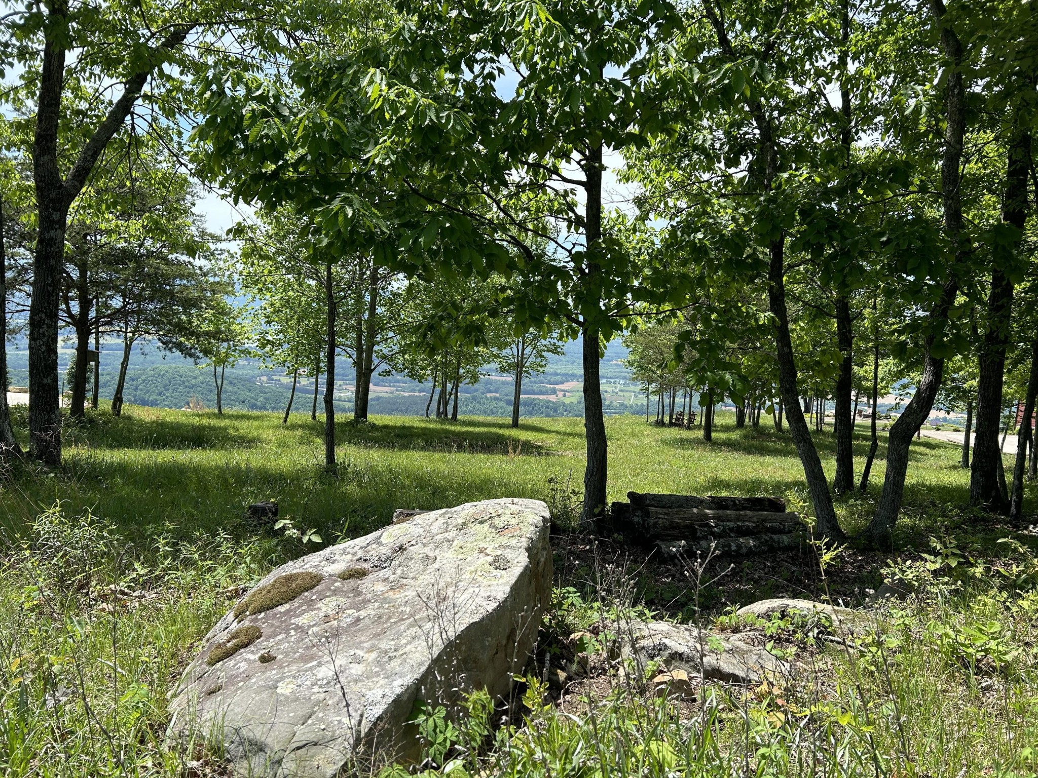 150 Eagle Eye Drive Property Photo 16