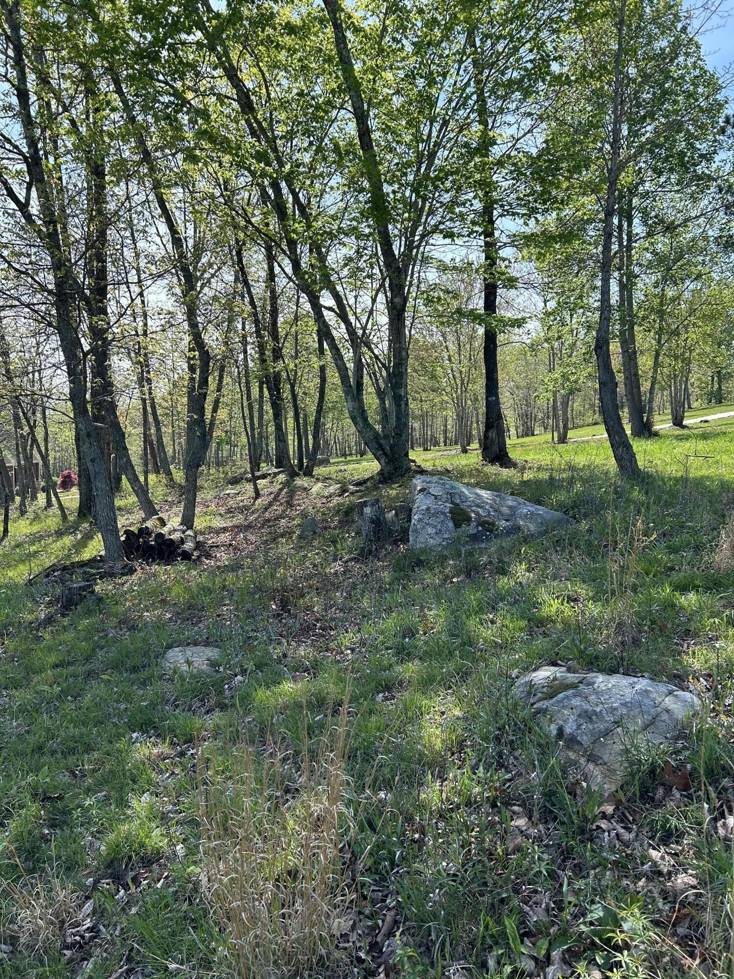 150 Eagle Eye Drive Property Photo 22