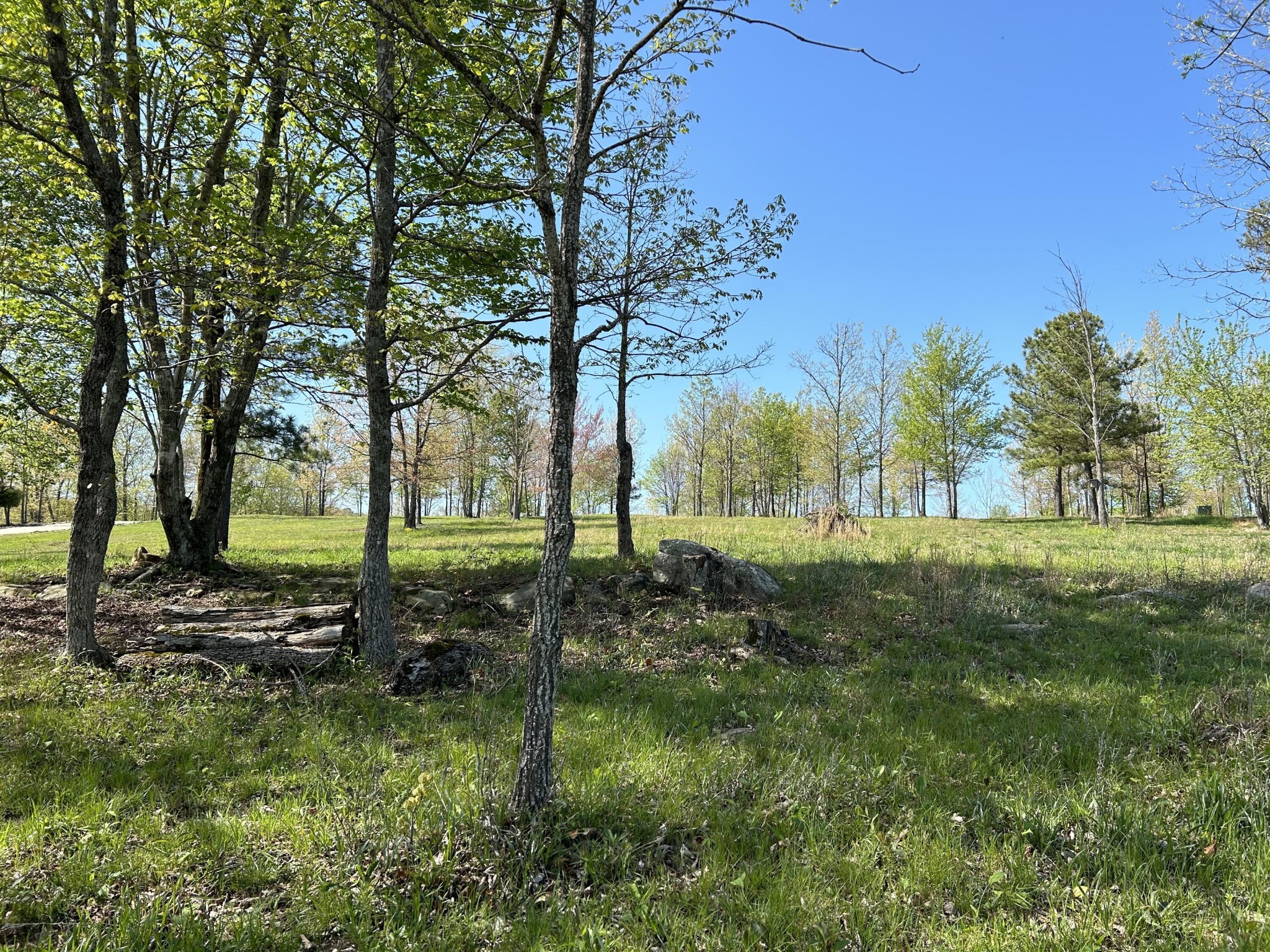 150 Eagle Eye Drive Property Photo 23