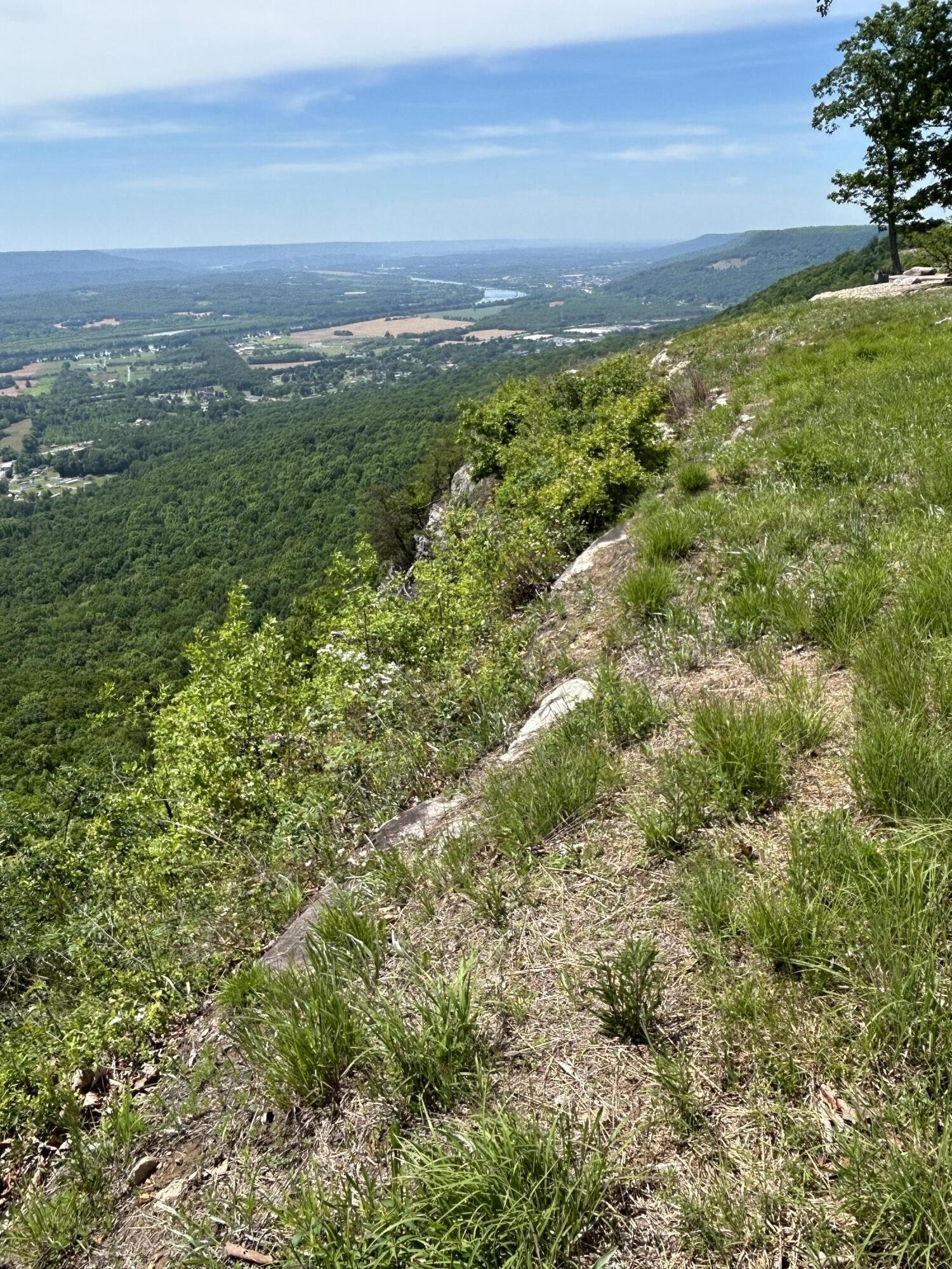 150 Eagle Eye Drive Property Photo 28