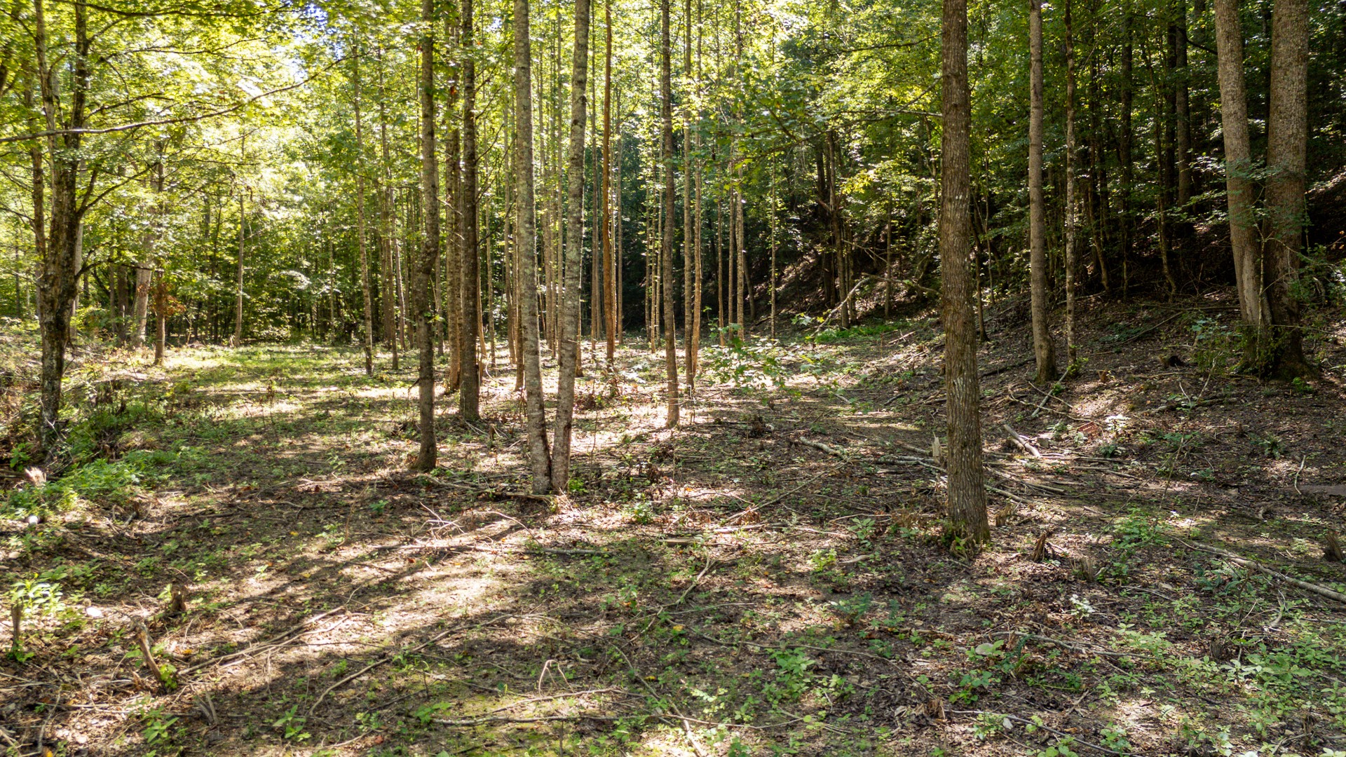 375 Roanoke Creek Rd Property Photo 4