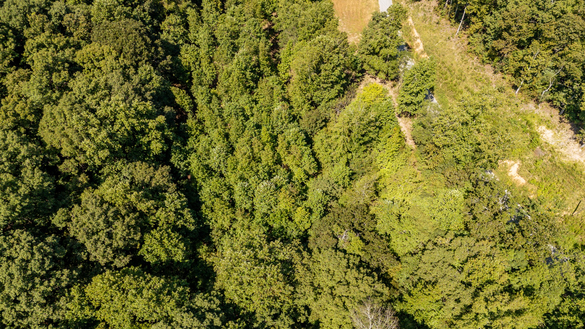 375 Roanoke Creek Rd Property Photo 12