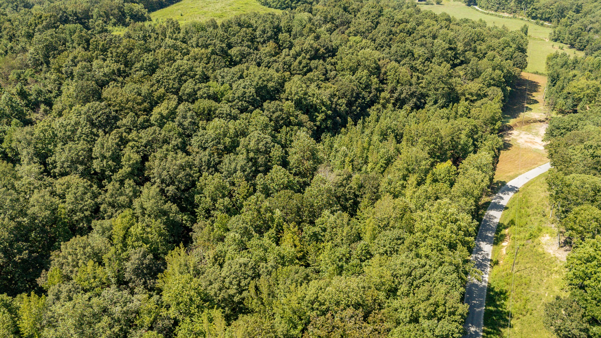 375 Roanoke Creek Rd Property Photo 14