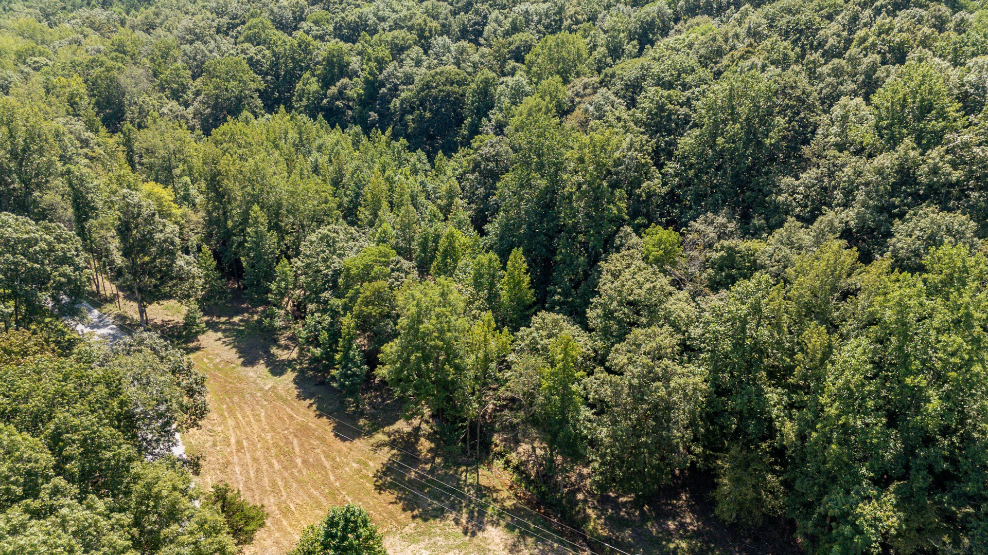 375 Roanoke Creek Rd Property Photo 28