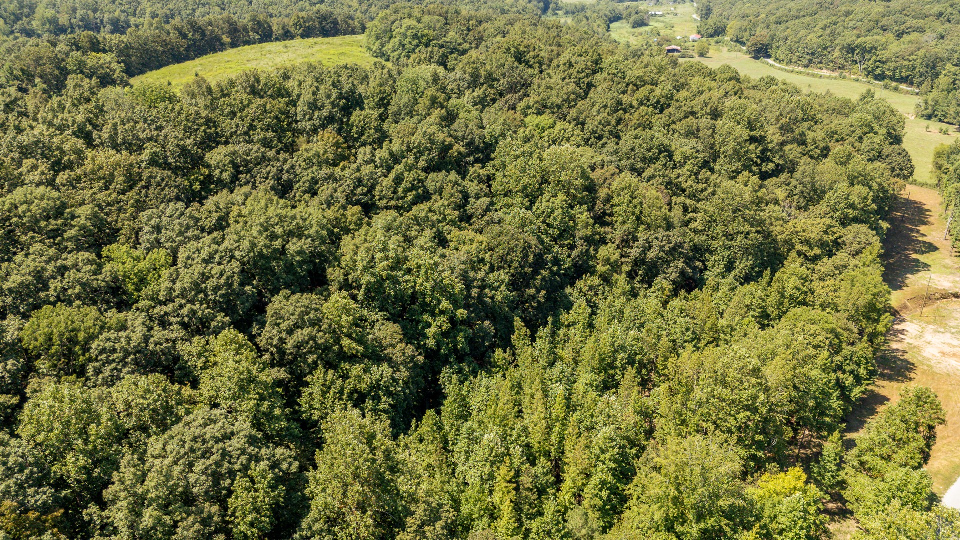 375 Roanoke Creek Rd Property Photo 34