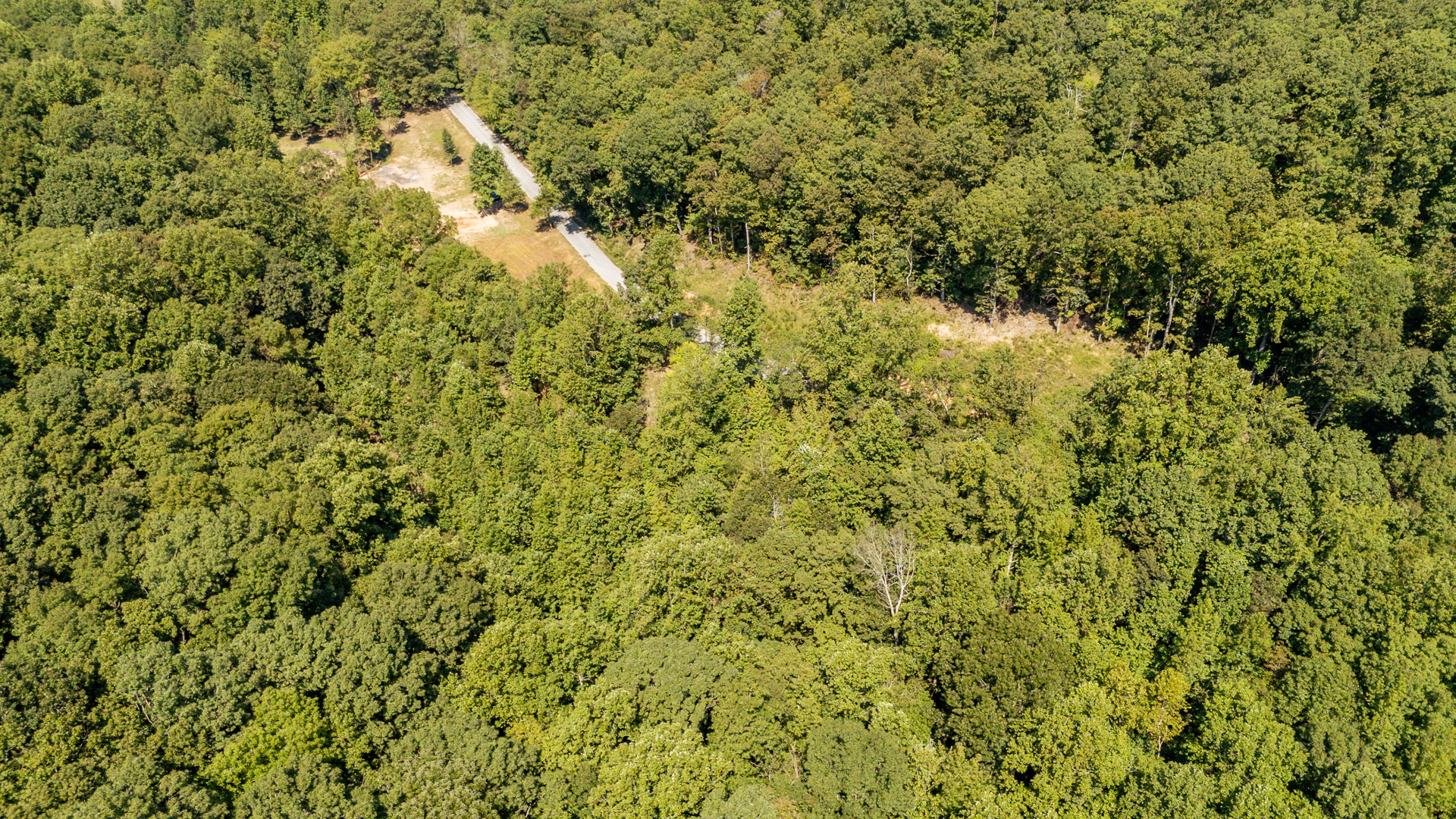 375 Roanoke Creek Rd Property Photo 35