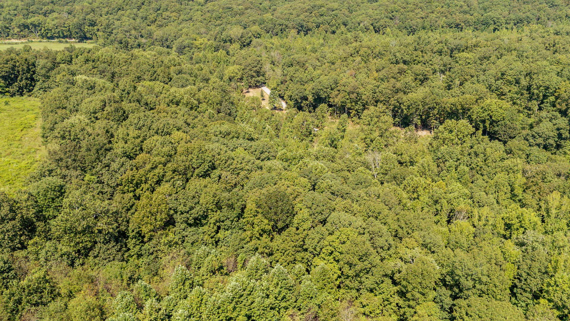 375 Roanoke Creek Rd Property Photo 36