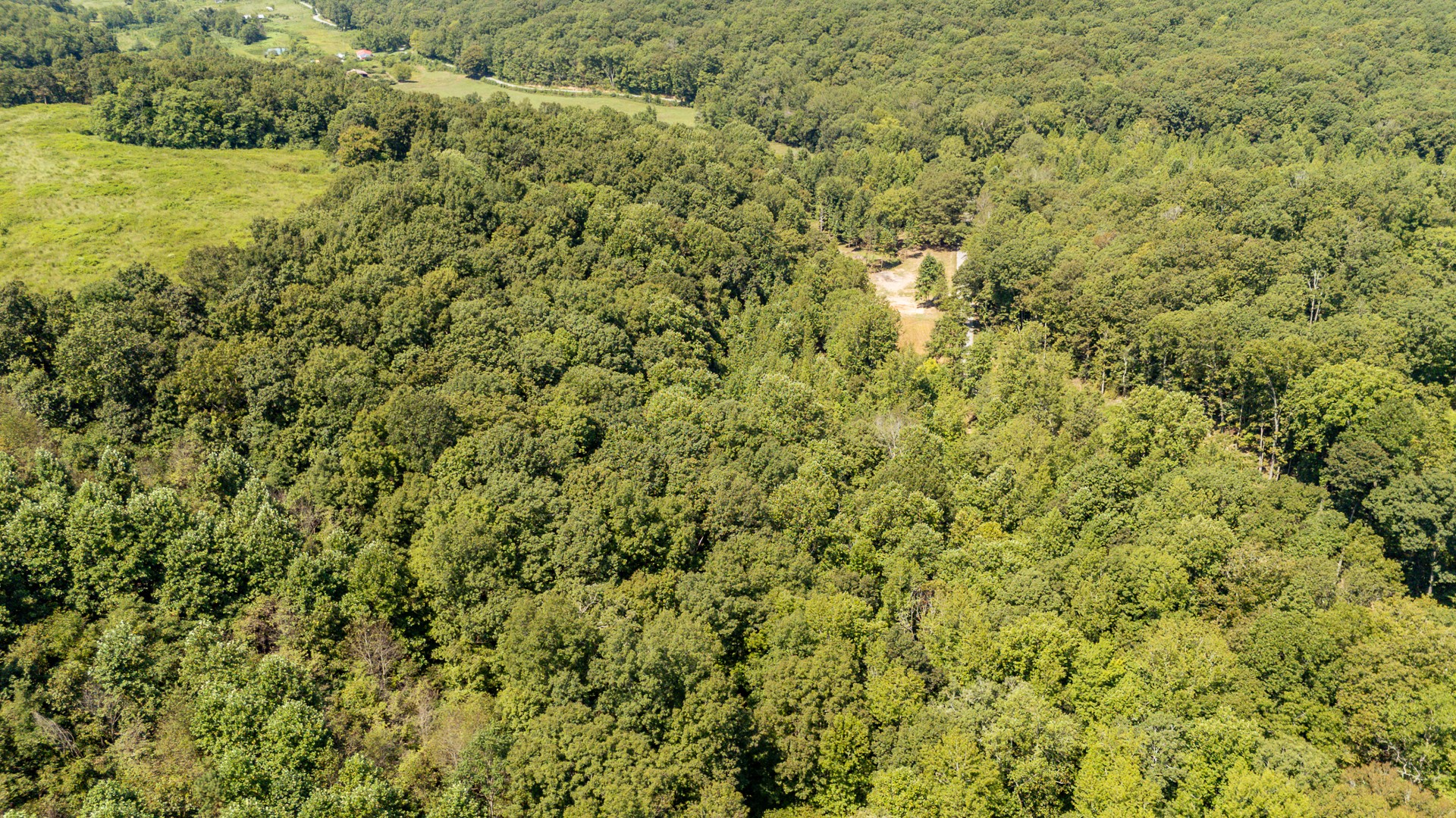 375 Roanoke Creek Rd Property Photo 37