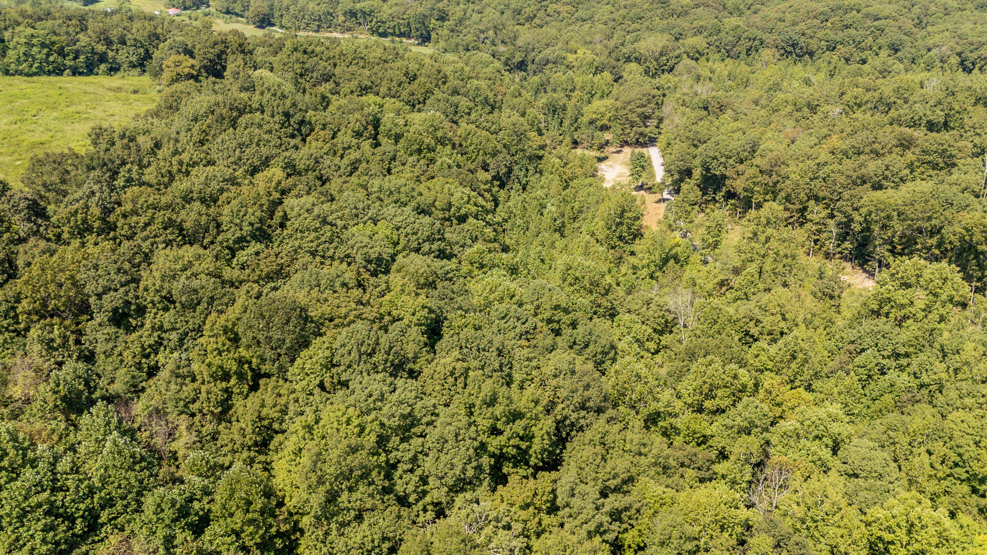 375 Roanoke Creek Rd Property Photo 39