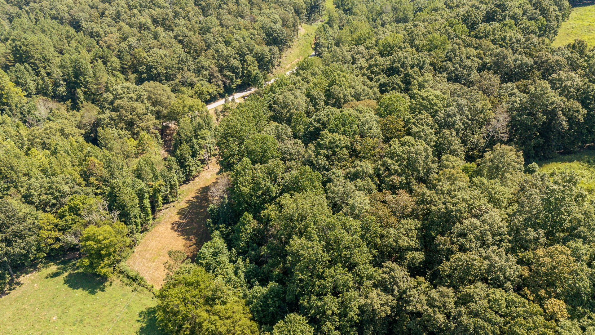 375 Roanoke Creek Rd Property Photo 46