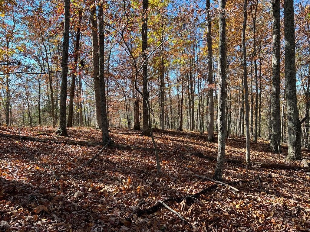 0 Old Hwy 53 Property Photo 2