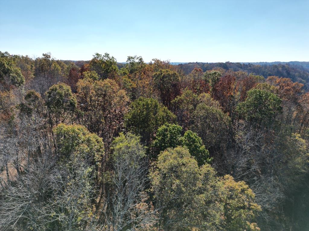 0 Old Hwy 53 Property Photo 3