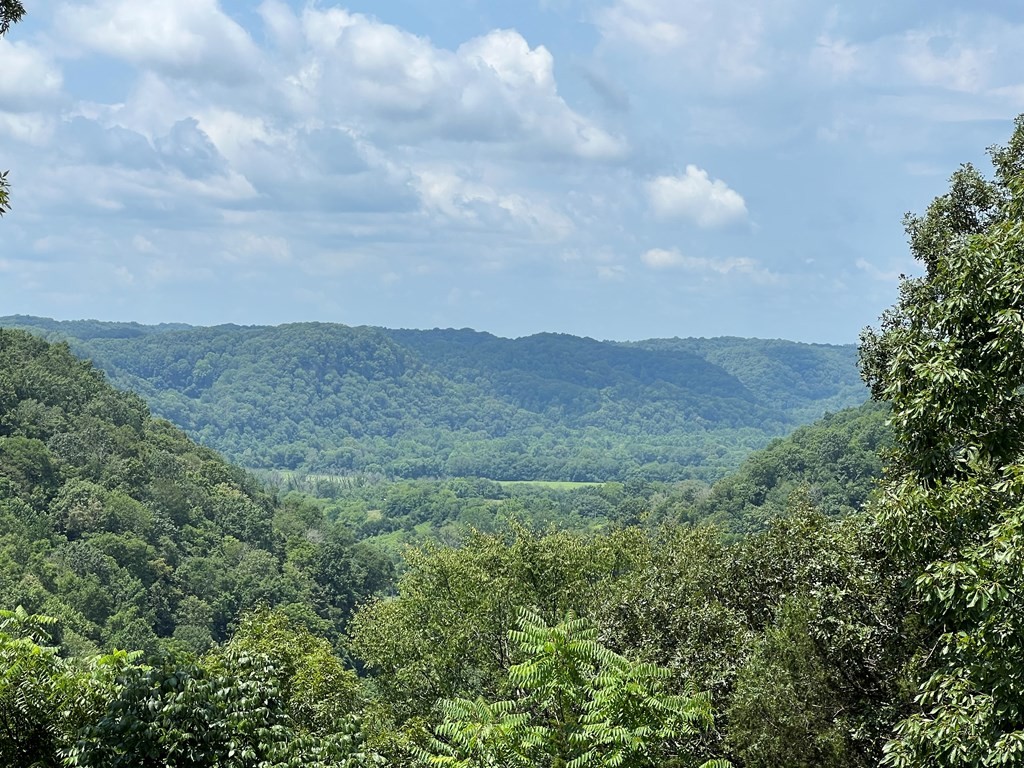 0 Old Hwy 53 Property Photo 4