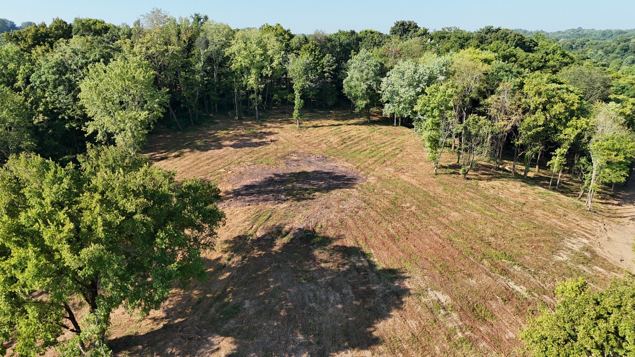 2085 Wild Cherry Dr Property Photo 6