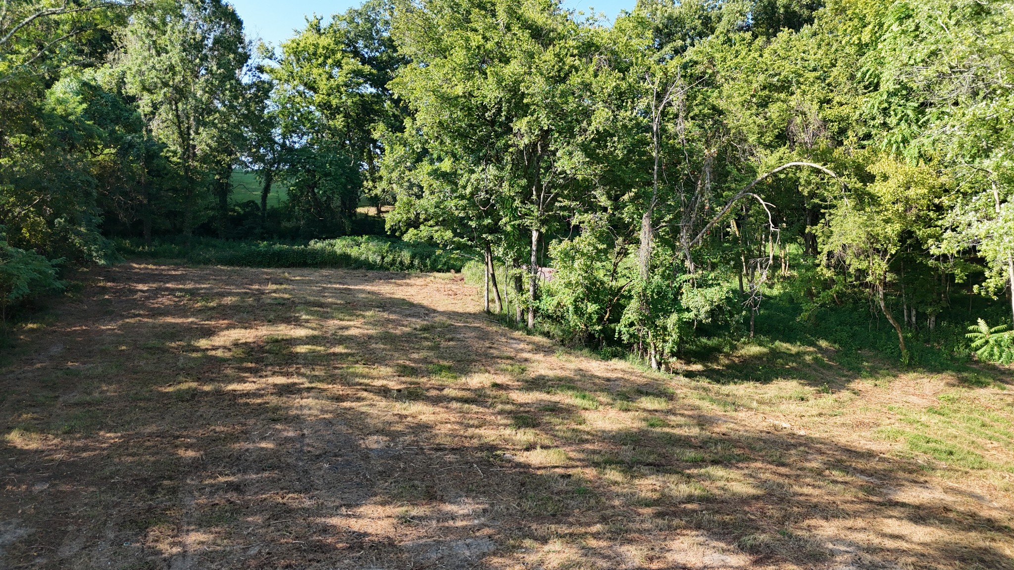 2085 Wild Cherry Dr Property Photo 7