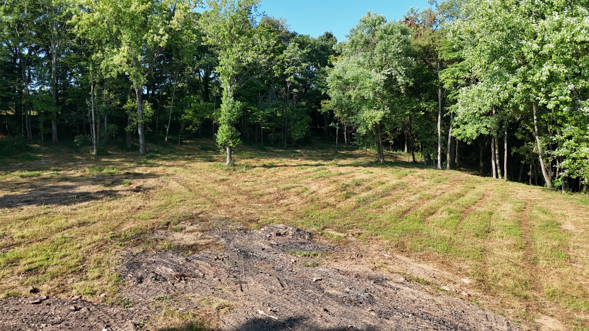 2085 Wild Cherry Dr Property Photo 8