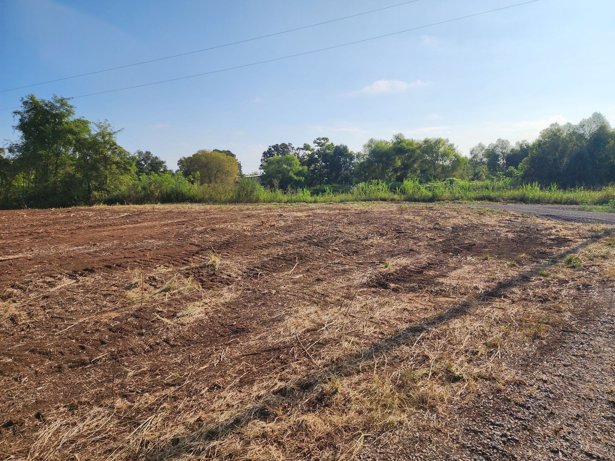 6685 Williams Rd Property Photo 5