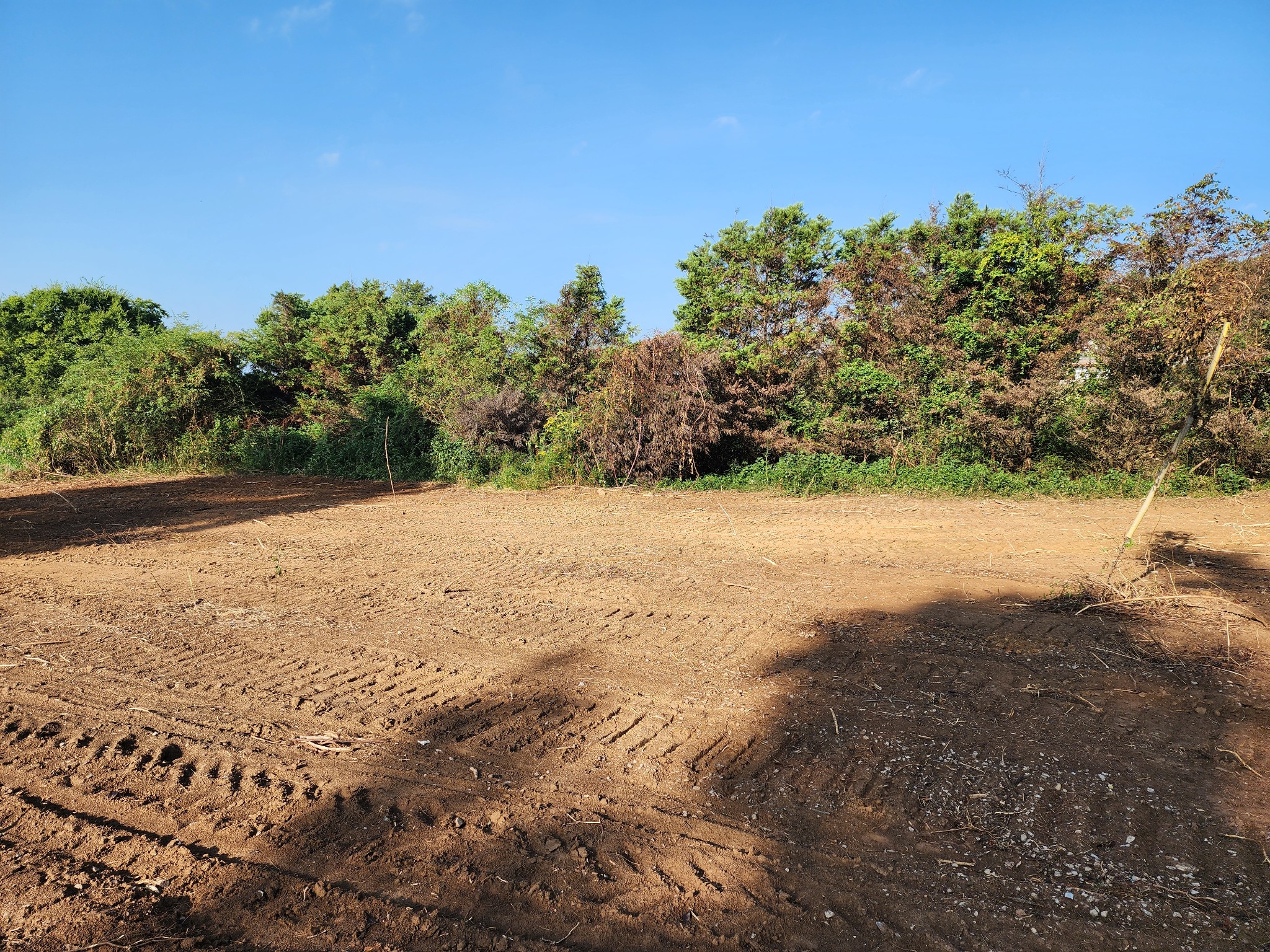 6685 Williams Rd Property Photo 6