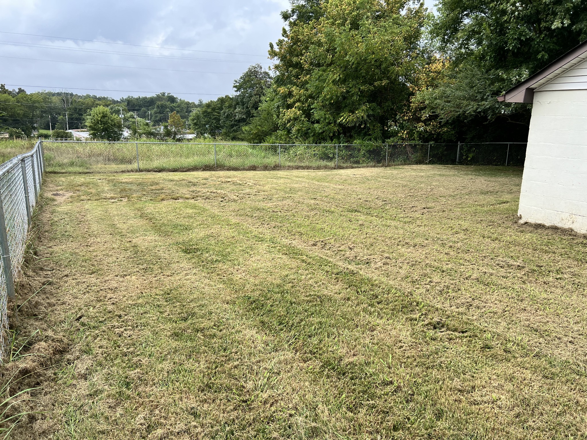 431 Elm St Property Photo 18