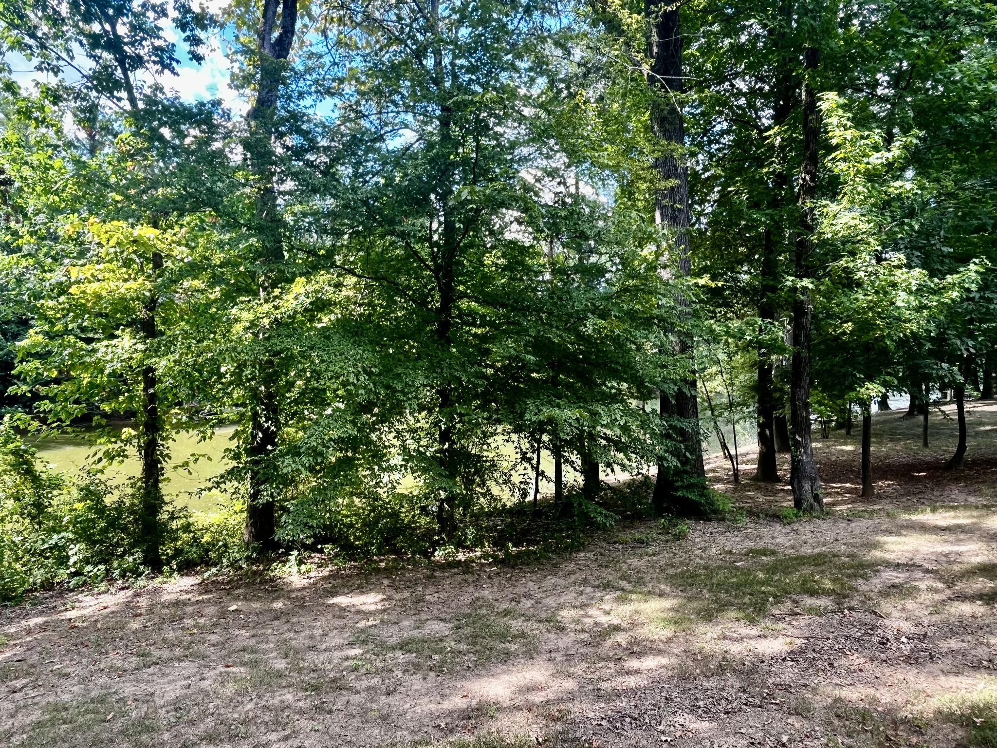 250 Teal Ln Property Photo 11