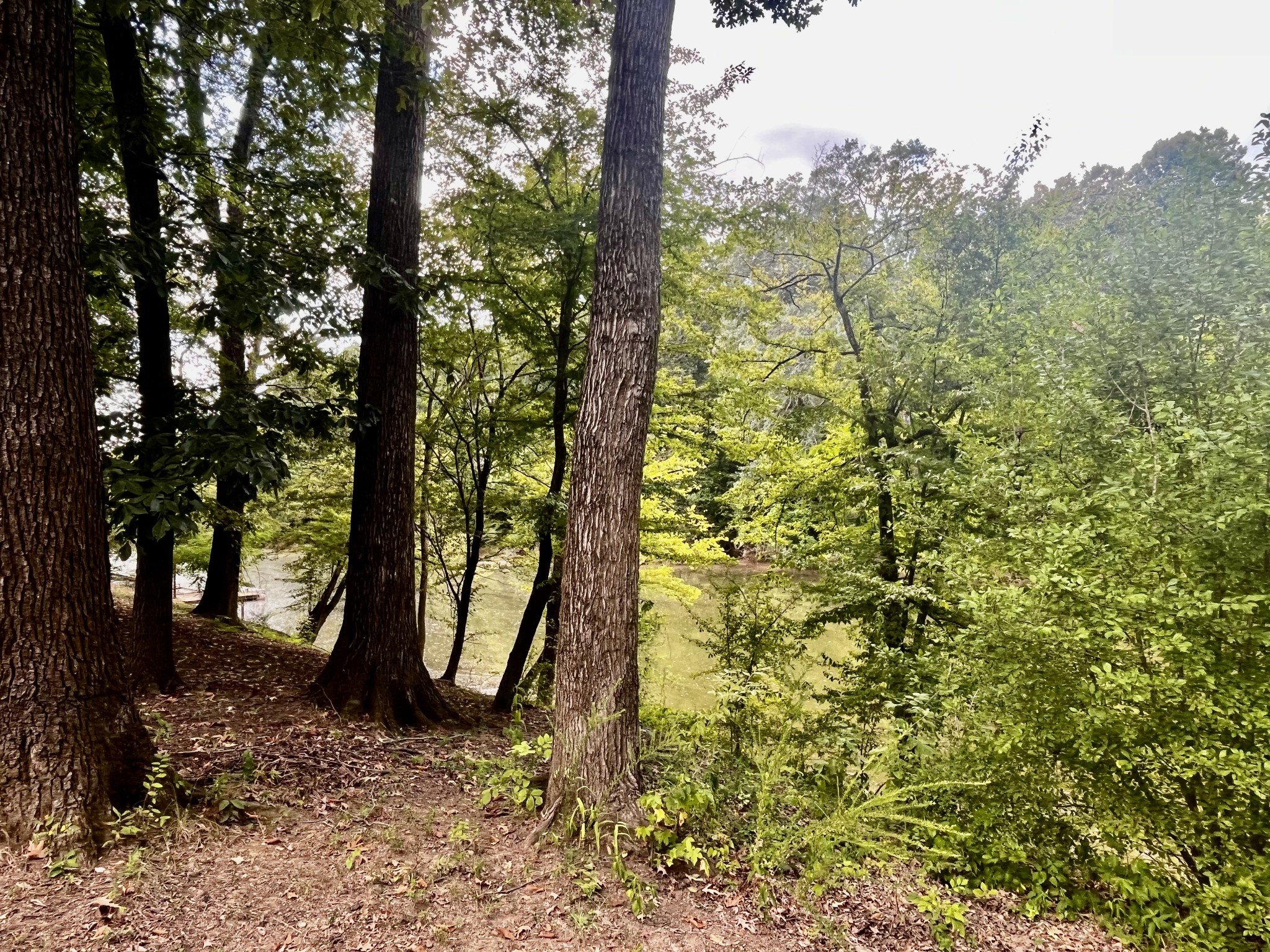 250 Teal Ln Property Photo 12