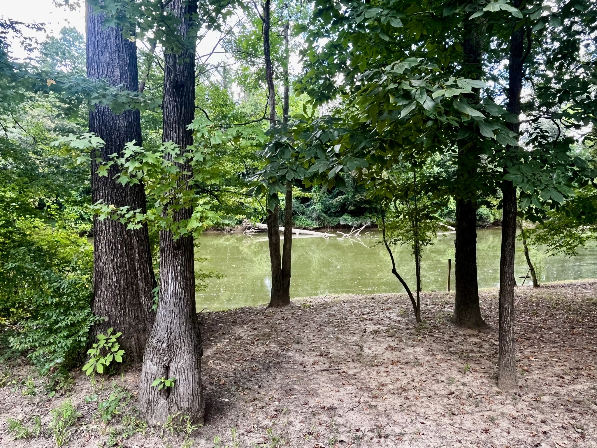 250 Teal Ln Property Photo 13