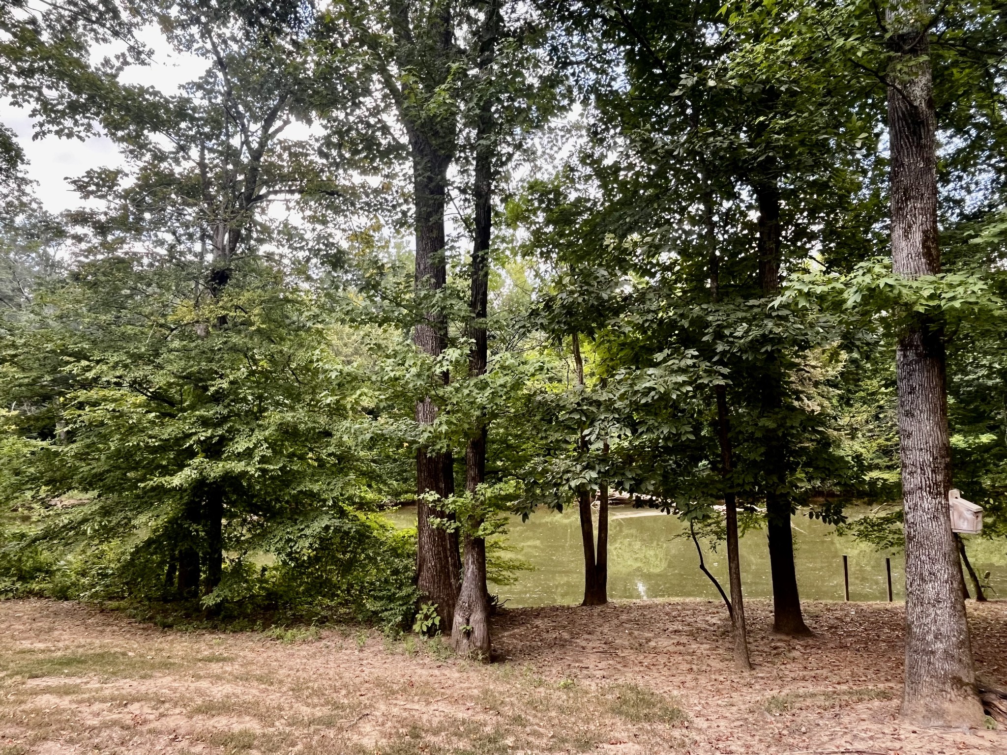 250 Teal Ln Property Photo 14