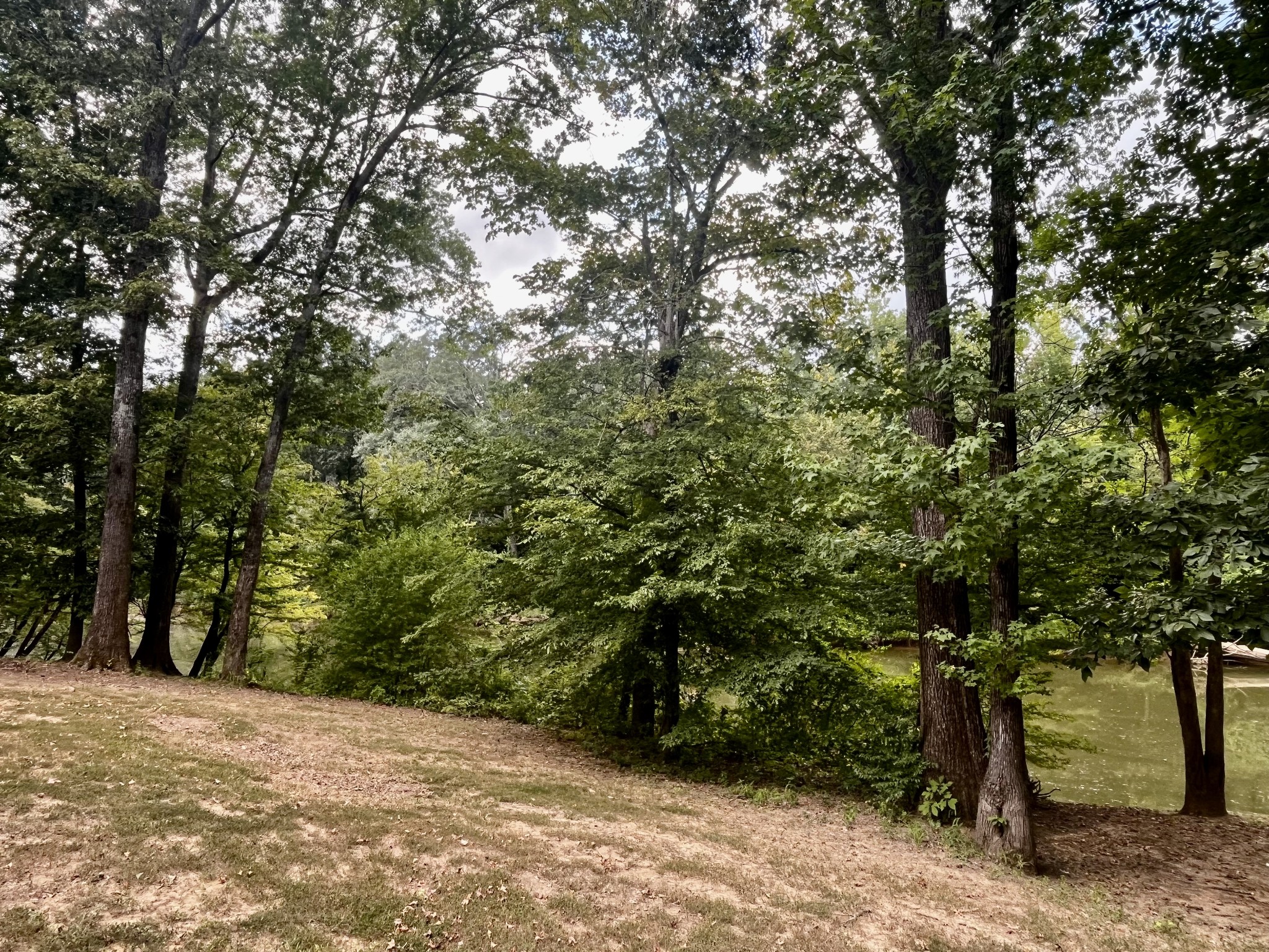 250 Teal Ln Property Photo 15