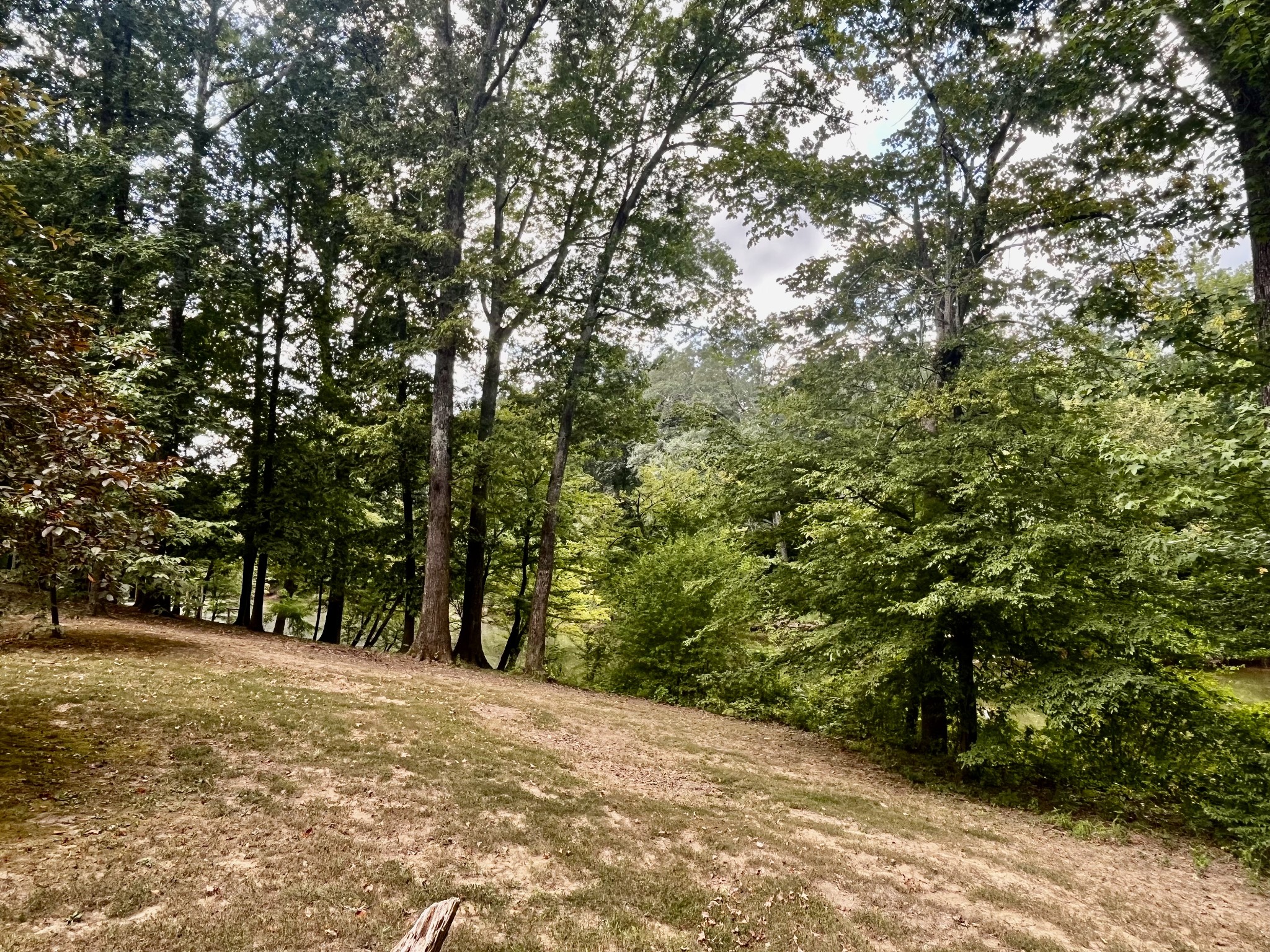 250 Teal Ln Property Photo 16