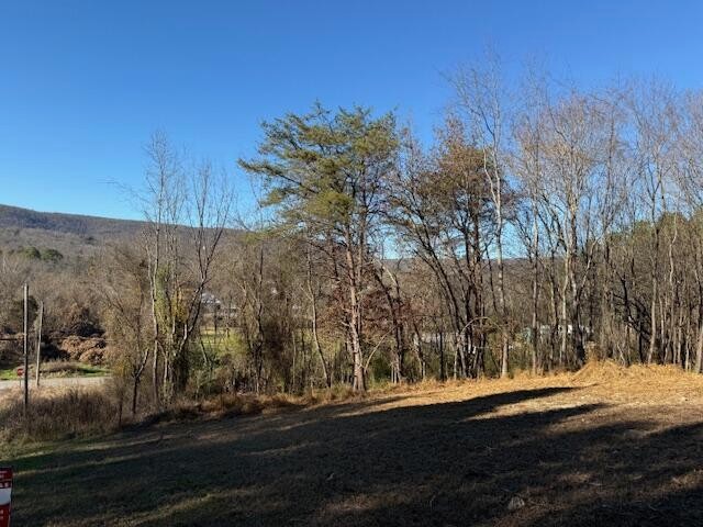 22 Moon Circle Property Photo 4