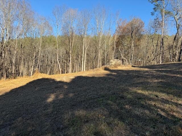 22 Moon Circle Property Photo 5