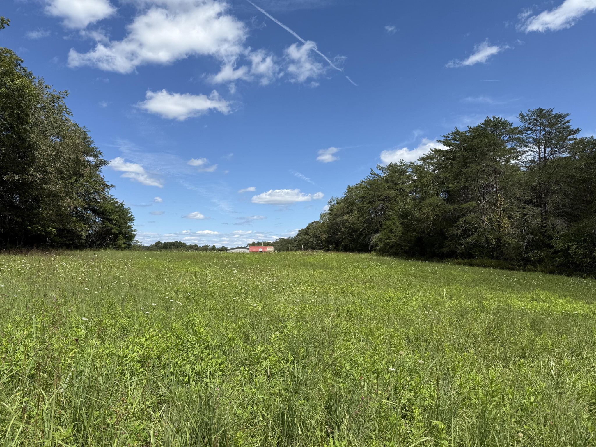 11 Newton Road Property Photo 2