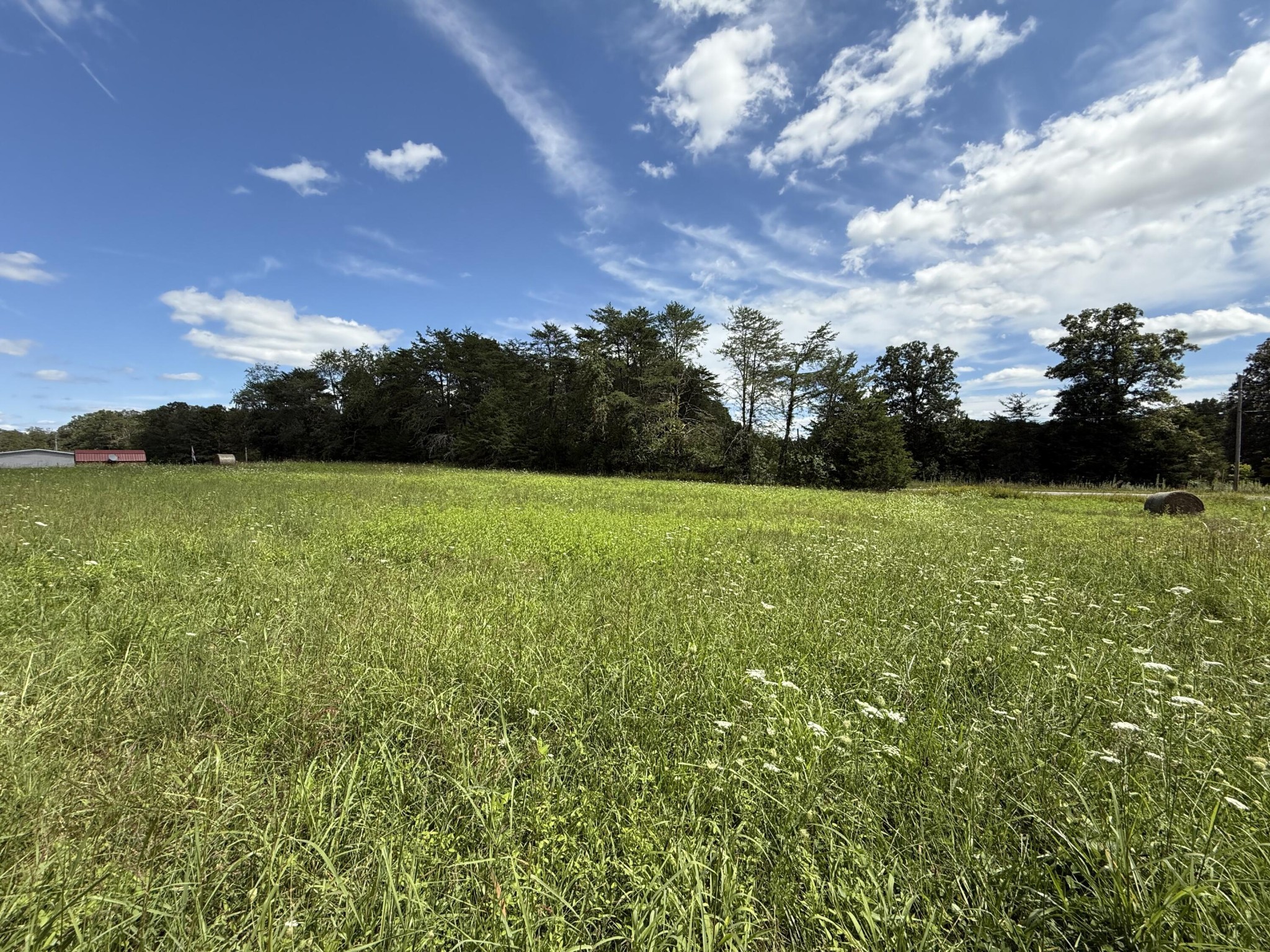 11 Newton Road Property Photo 3