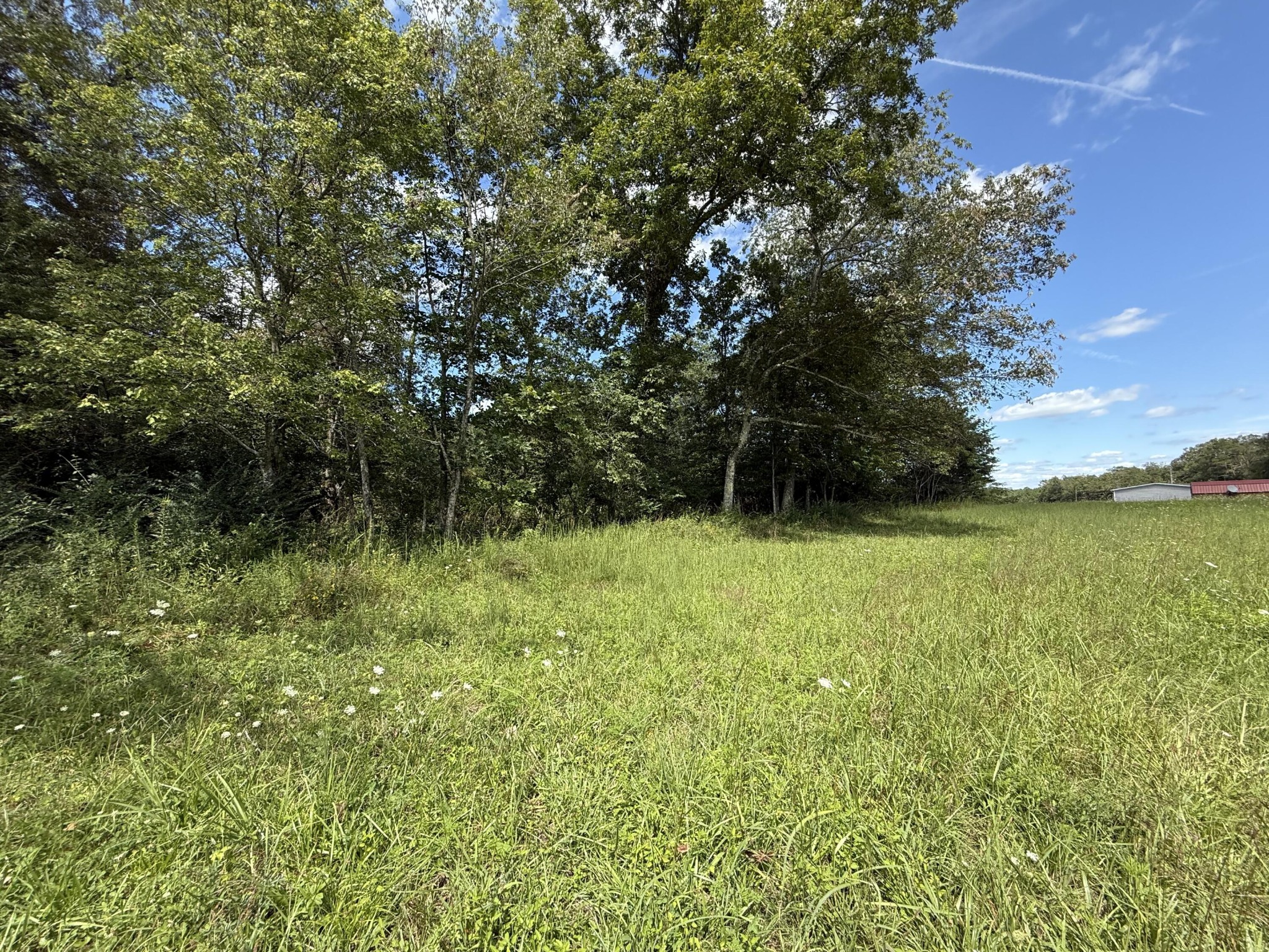 11 Newton Road Property Photo 4