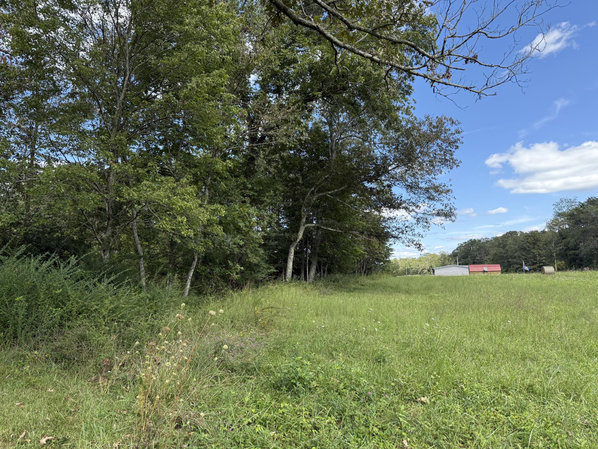 11 Newton Road Property Photo 5