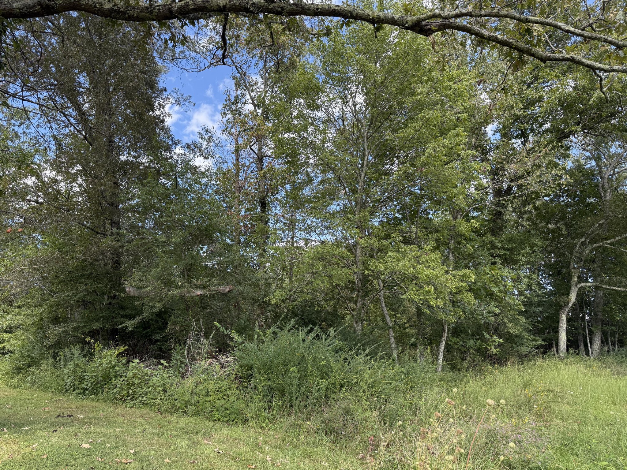 11 Newton Road Property Photo 6