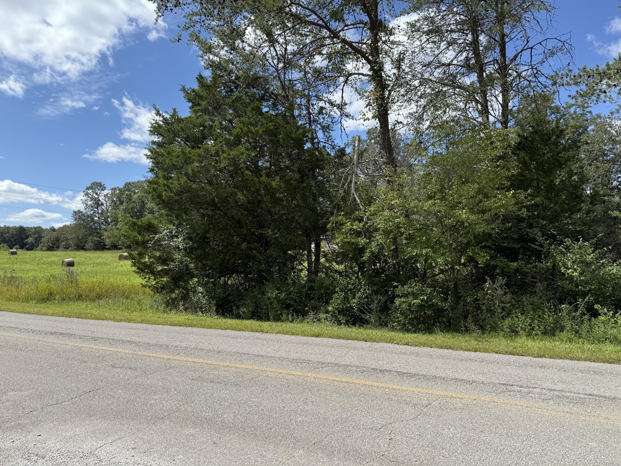 11 Newton Road Property Photo 7